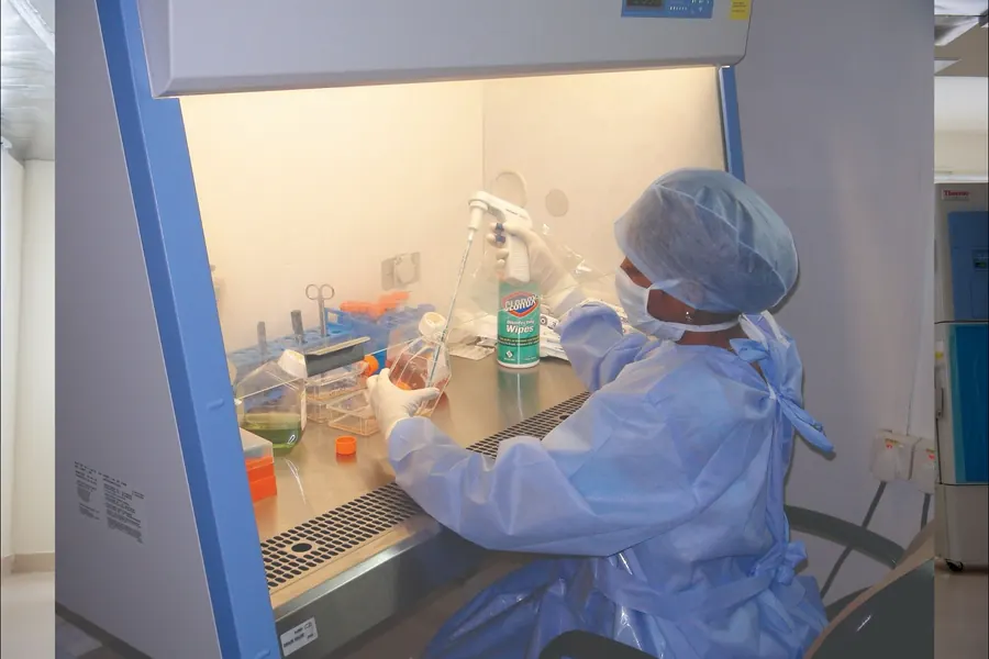 A researcher working in a biosafety cabinet