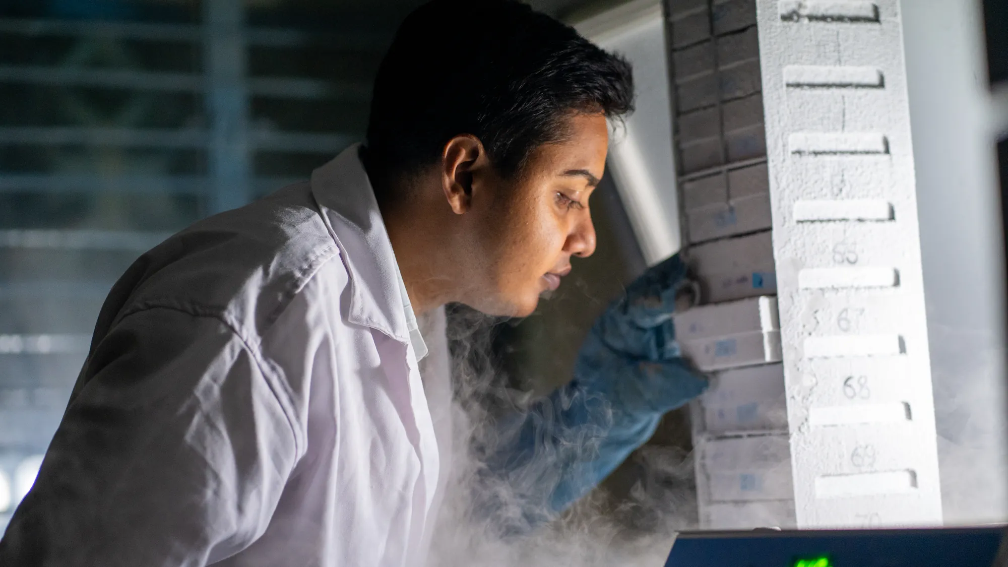 A researcher retrieves samples from cryogenic storage