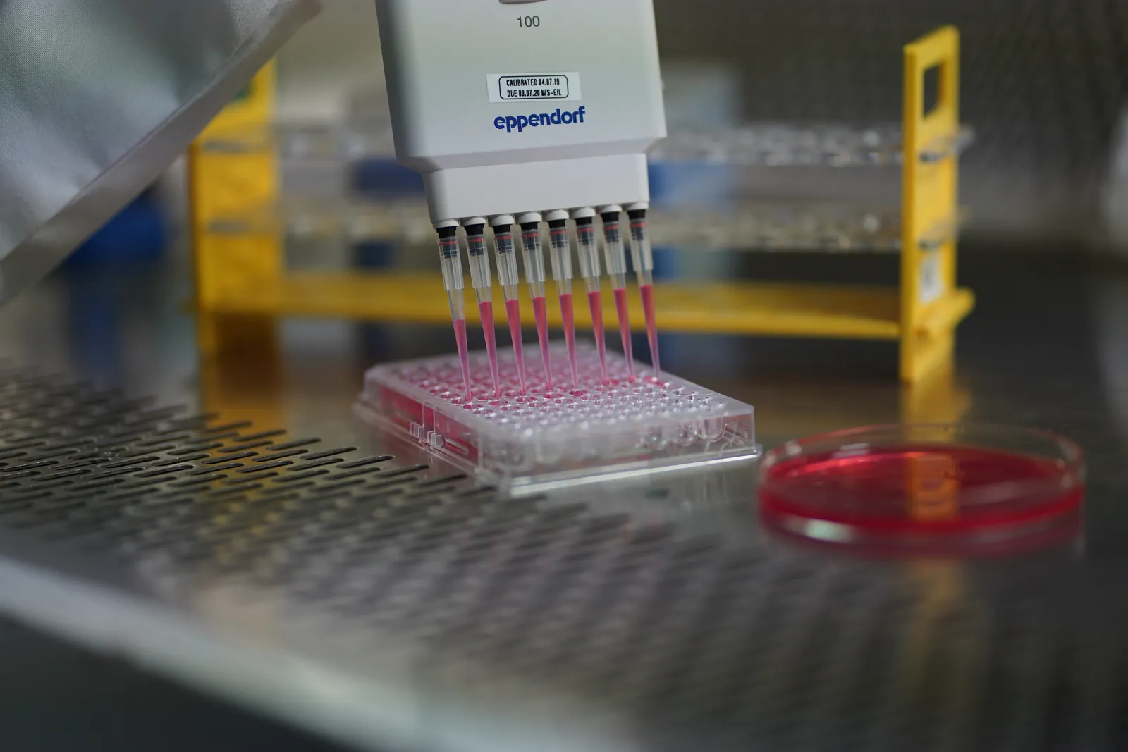 Multichannel pipetting into an assay plate